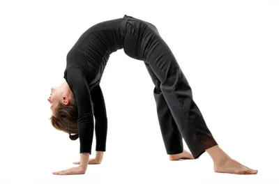 Illustration squirms - Image 1