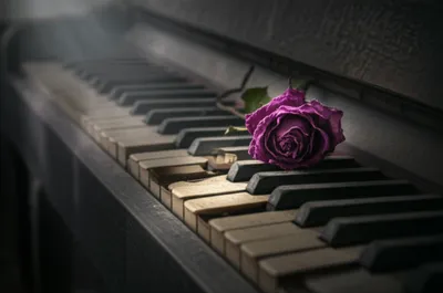 Illustration dirge - Image 1