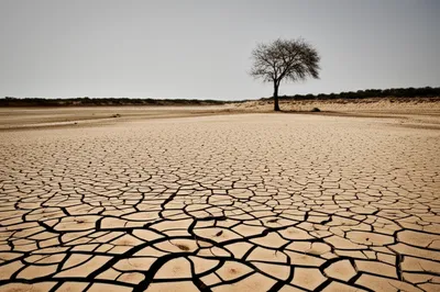 Hình ảnh minh họa drawdown - Ảnh 1