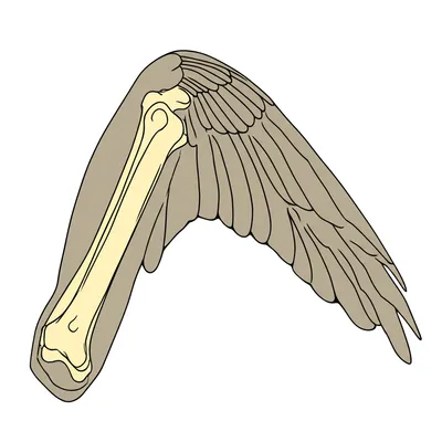 Hình ảnh minh họa secondary - Ảnh 1