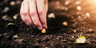 Illustration initialize - Image 1