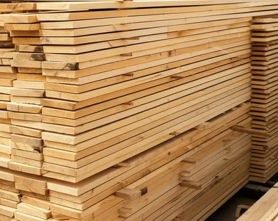 Illustration sticker - Image 1