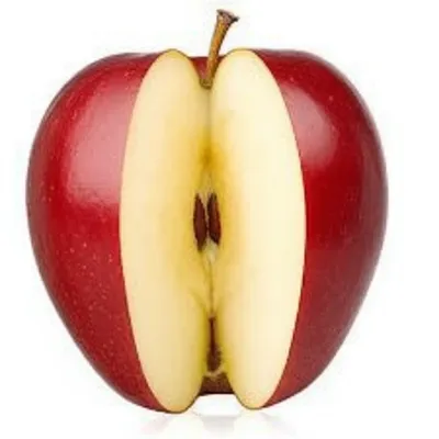 Illustration external