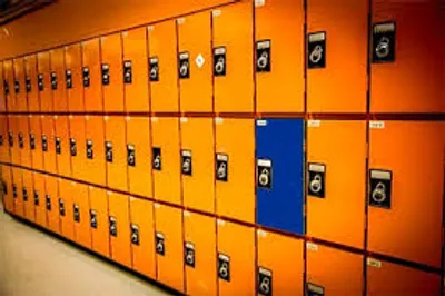 Illustration sector - Image 3