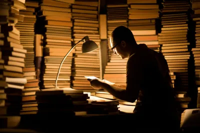 Illustration dissertation