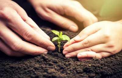 Illustration responsibly