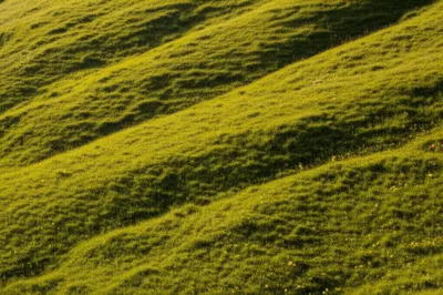 Illustration hillsides