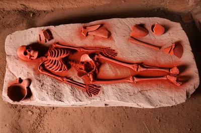 Illustration ochre - Image 1