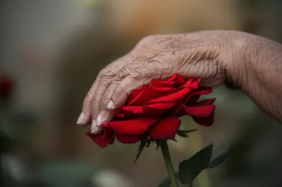 Illustration slim - Image 1