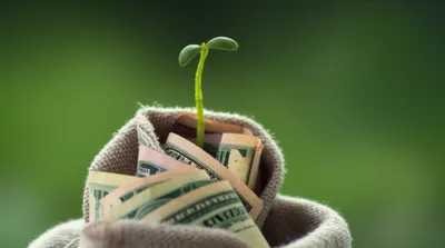 Illustration invest - Image 1