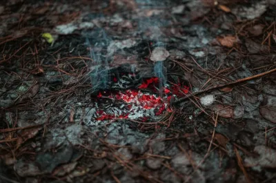 Illustration smoulders - Image 1