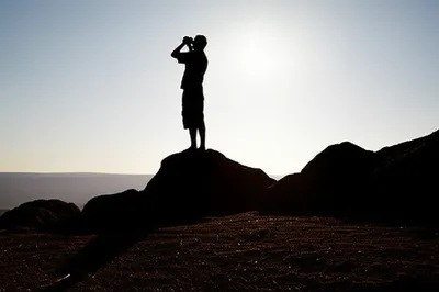 Illustration scouted - Image 1