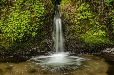 Illustration spurting - Image 1