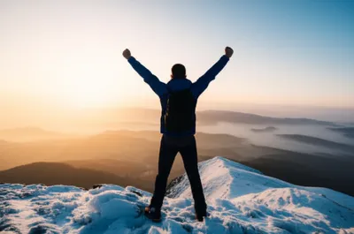 Illustration crested - Image 1