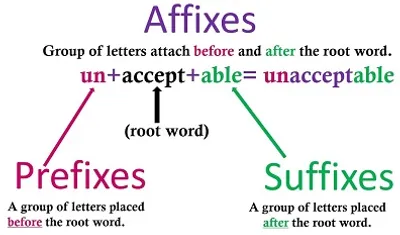 Illustration affix - Image 2