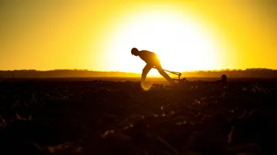 Illustration toiling - Image 1