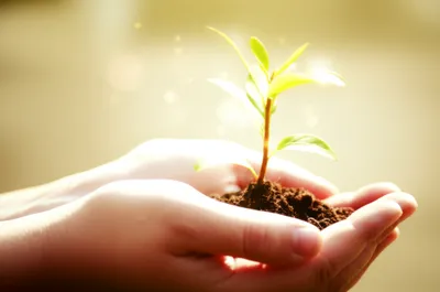 Illustration precious - Image 1