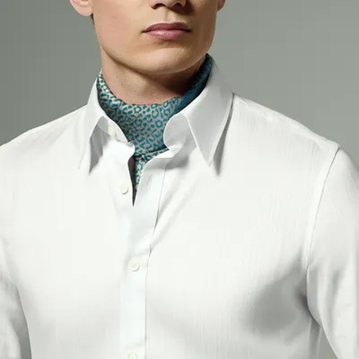 Illustration cravats - Image 1