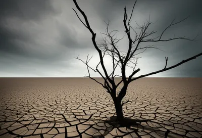 Illustration damned - Image 1