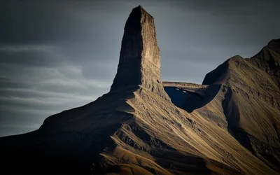 Illustration spurs - Image 1