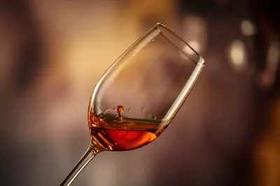 Illustration buzzes - Image 1