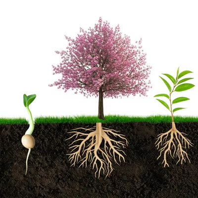 Illustration making - Image 1