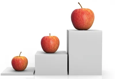 Illustration scaled - Image 1