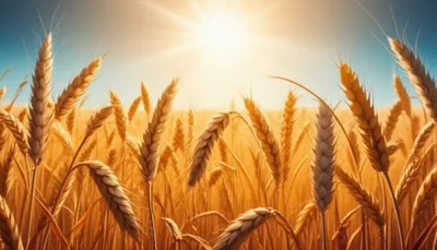 Illustration sunburnt - Image 1