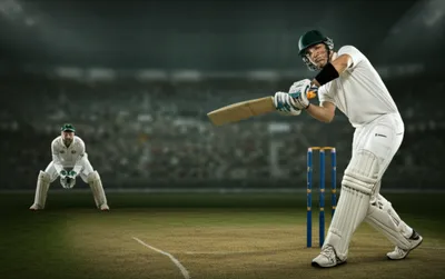 Illustration wicket - Image 1