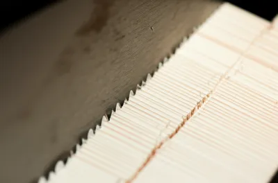 Illustration sawn - Image 1