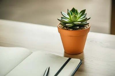 Illustration setting - Image 1