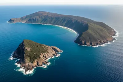 Illustration bight - Image 1