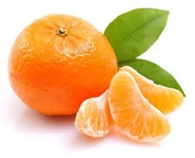 Illustration tangerine - Image 3