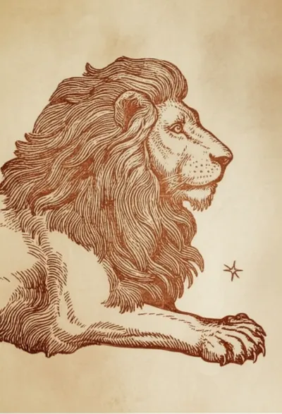 Illustration remark - Image 1