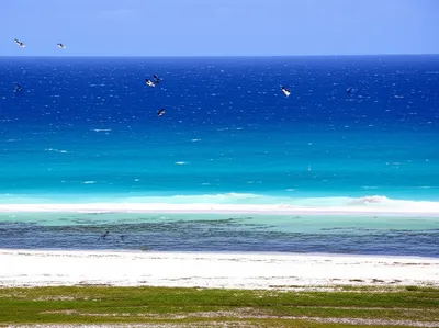 Illustration lagoon - Image 1