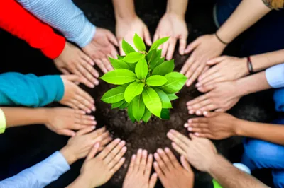 Illustration retain - Image 1