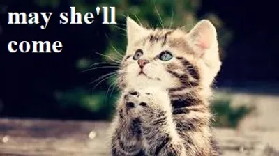 Illustration may - Image 2