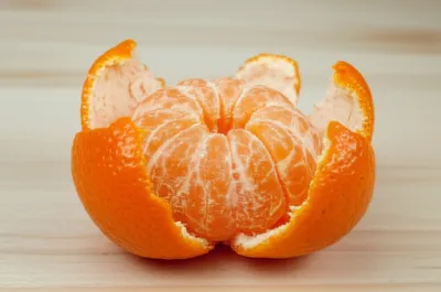 Illustration qt - Image 1