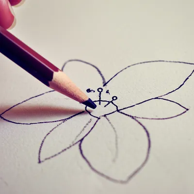 Illustration penciled