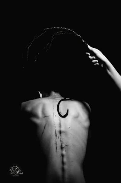 Illustration catting - Image 1