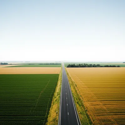 Illustration tracts - Image 1