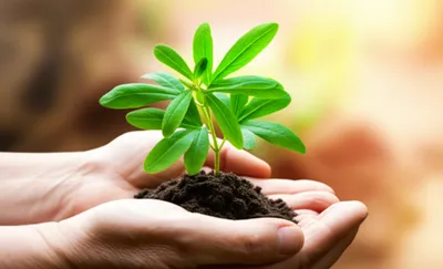 Illustration tender - Image 1