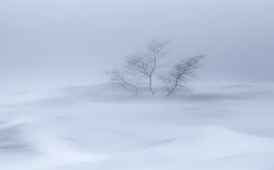 Illustration blizzards