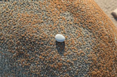 Illustration peripheral - Image 1