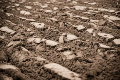 Illustration drags - Image 1