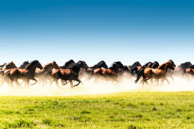 Illustration charges - Image 1