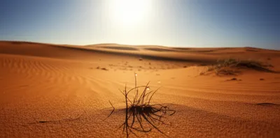 Illustration minima - Image 1