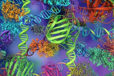 Illustration macromolecules