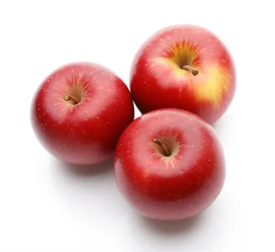 Illustration pair - Image 1