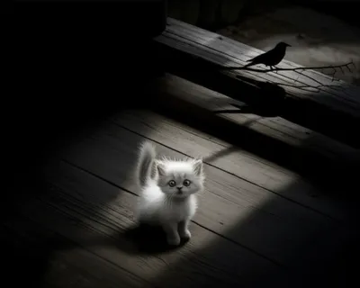 Illustration scary - Image 1